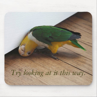 Try looking mouse mat