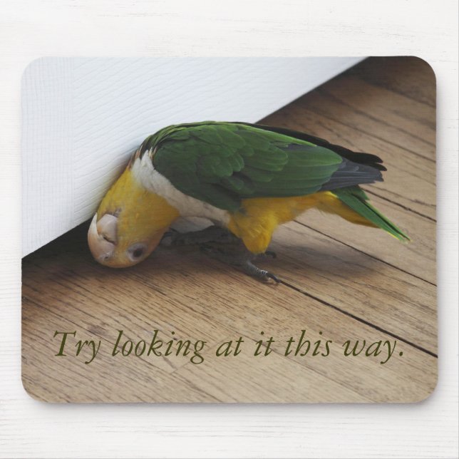 Try looking mouse mat (Front)