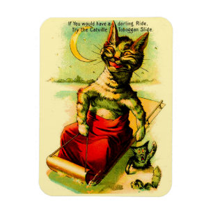 Try the Catville Toboggan Slide Magnet