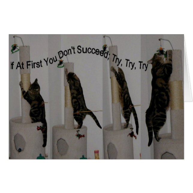 Try until you can (Front Horizontal)