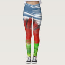 Tryfan leggings