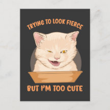 Trying to look fierce but I'm too cute