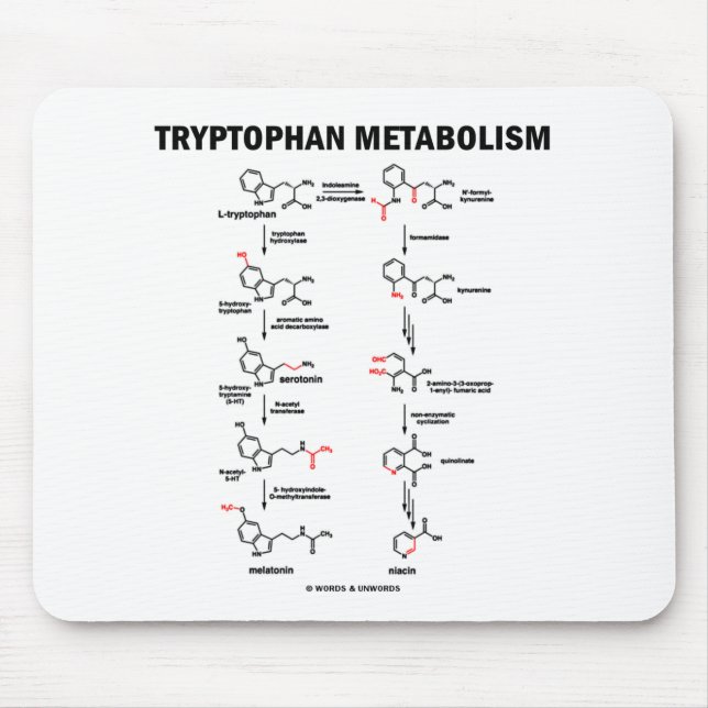 Tryptophan Metabolism (Chemistry) Mouse Mat (Front)