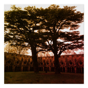 Tryst of Trees Poster