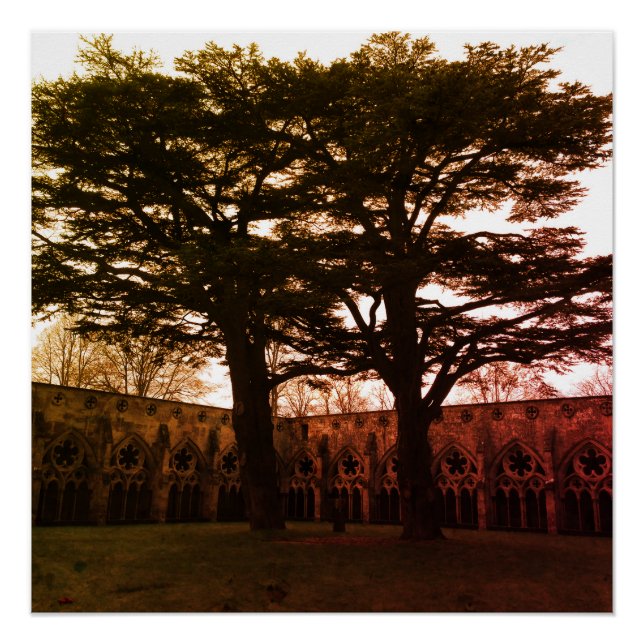 Tryst of Trees Poster (Front)