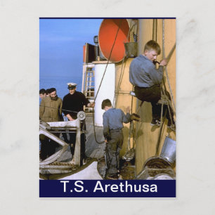 TS Arethusa, painting the mast Postcard