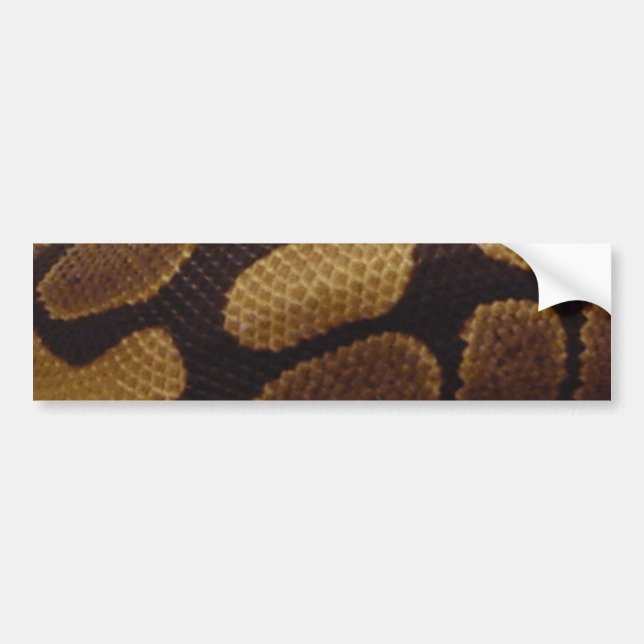 TSC Snake Skin Bumper Sticker (Front)