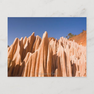 Tsingy rouges de Madagascar Postcard
