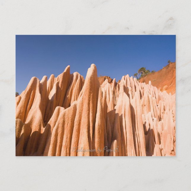 Tsingy rouges de Madagascar Postcard (Front)