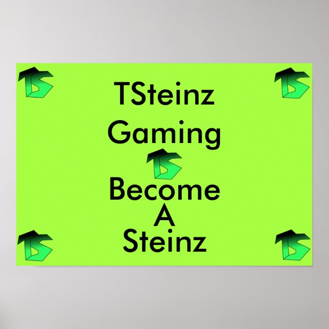 TSteinz Poster (Front)