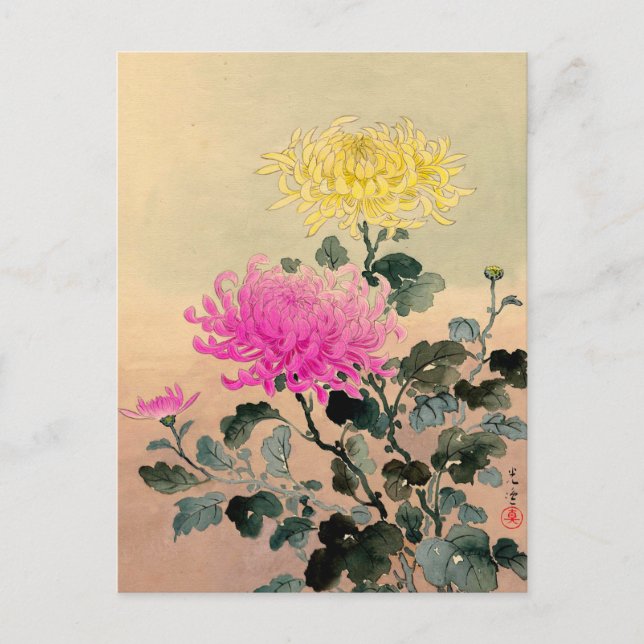 Tsuchiya Koitsu 土屋光逸 - Chrysanthemum 菊 Postcard (Front)