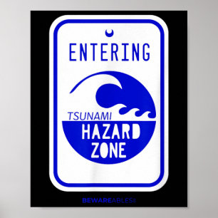 Tsunami Hazard Zone Road Sign Funny Beach And Shor