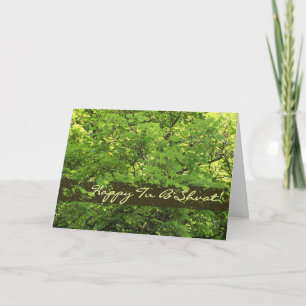 Tu B'Shvat Greeting Card - Sunlight through Leaves