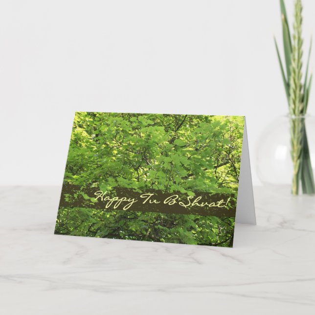 Tu B'Shvat Greeting Card - Sunlight through Leaves (Front)