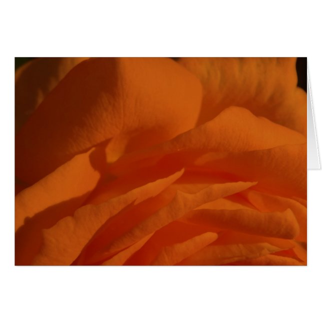 Tú eres mi amor, mi vida (Front Horizontal)