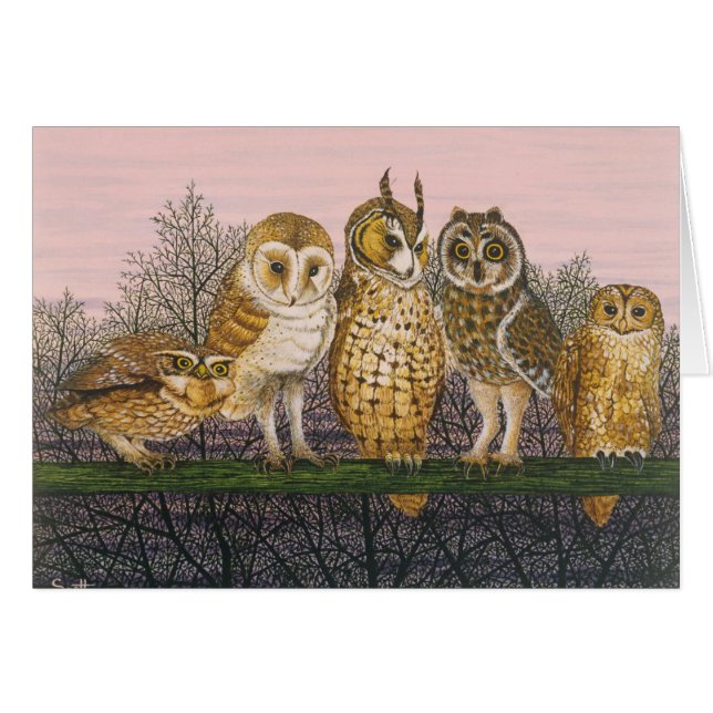 Tu-whit Tu-whooing (Front Horizontal)