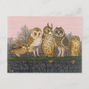 Tu-whit Tu-whooing Postcard