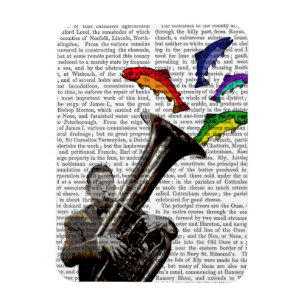 Tuba And Fish Magnet