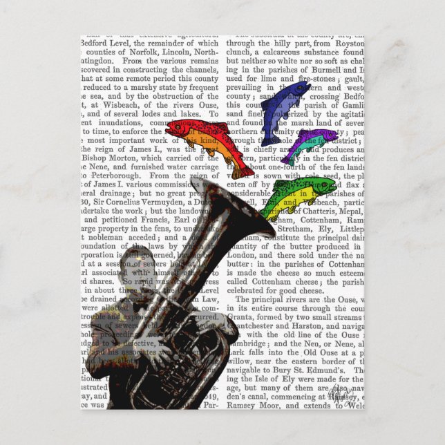 Tuba And Fish Postcard (Front)