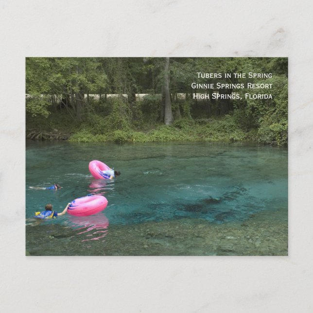 Tubers in Spring Postcard (Front)