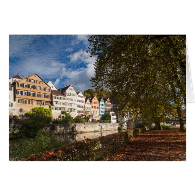 Tubingen Old Town Buildings (Front Horizontal)