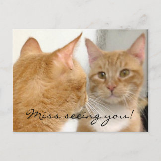 Tubo - Miss seeing you! Postcard