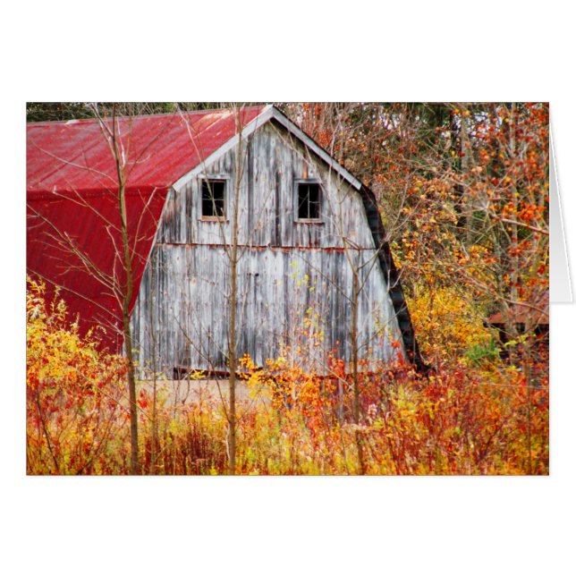 Tucked Away (Front Horizontal)