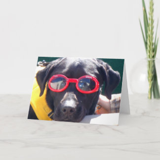 Tucker in Goggles Conservation Canines Labrador Card
