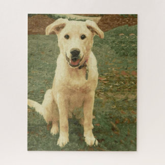 Tucker  jigsaw puzzle