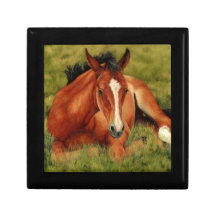 Tuckered Out - Resting Foal