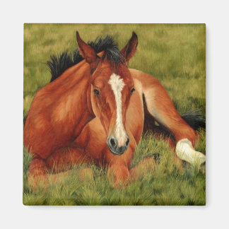 Tuckered Out - Resting Foal Magnet