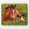 Tuckered Out - Resting Foal Mousepad