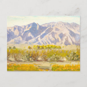 Tucson Arizona Landscape with Mountains Postcard