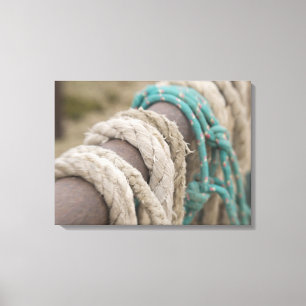 Tucson, Arizona: Ropes and hanrnesses used  on Canvas Print