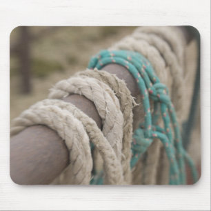 Tucson, Arizona: Ropes and hanrnesses used on Mouse Mat
