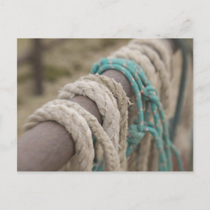 Tucson, Arizona: Ropes and hanrnesses used on Postcard