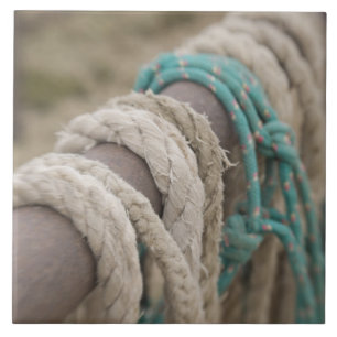 Tucson, Arizona: Ropes and hanrnesses used on Tile