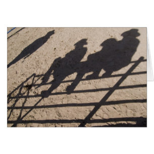 Tucson, Arizona: Shadows of Rodeo competitors