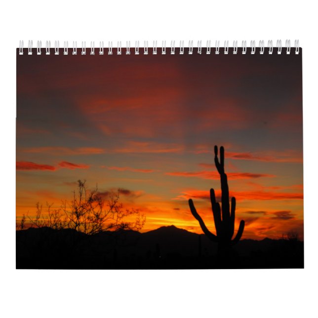 Tucson Weather 2017 Calendar (Back)