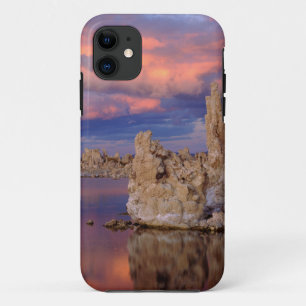 Tufa Formations on Mono Lake iPhone 11 Case