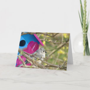 Tuffed Titmouse Blank Greeting Card