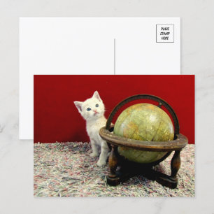 Tuffy McDuff Around the World - Cat / Kitten Postcard
