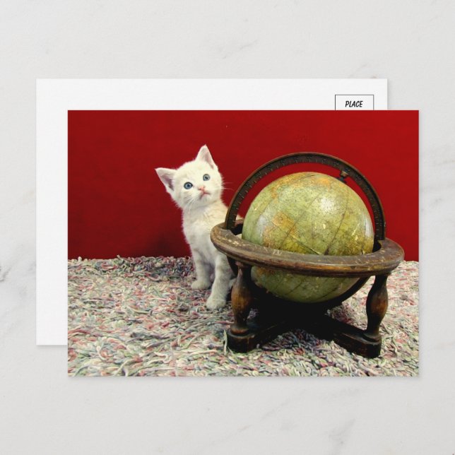 Tuffy McDuff Around the World - Cat / Kitten  Postcard (Front/Back)