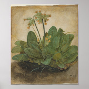 Tuft of Cowslips by Albrecht Durer Poster