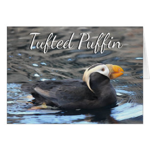 Tufted Puffin - 5" x 7" Art Card