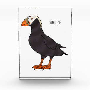 Tufted puffin bird cartoon illustration   photo block