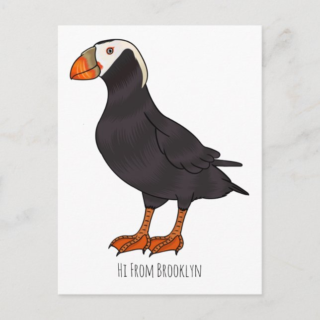 Tufted puffin bird cartoon illustration postcard (Front)