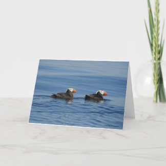 Tufted Puffins Thank you card