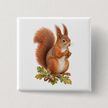 Tufted Red Squirrel with Acorn and Autumn Oak