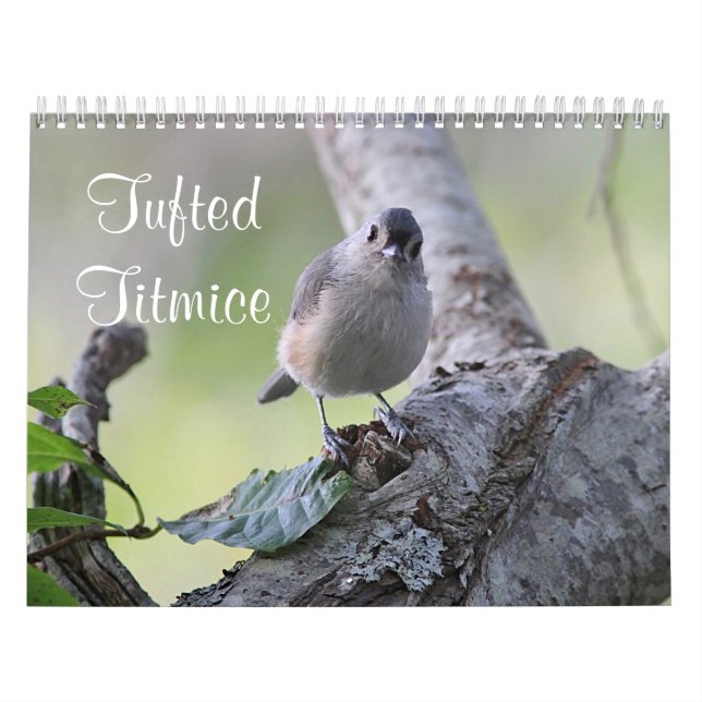 Tufted titmice calendar (Cover)